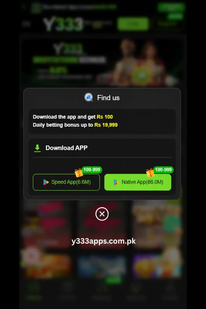 Y333 Game